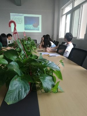 江蘇景寧信息技術 專業(yè)信息技術咨詢服務的領航者